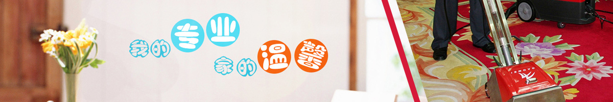 �Lɳ������˾